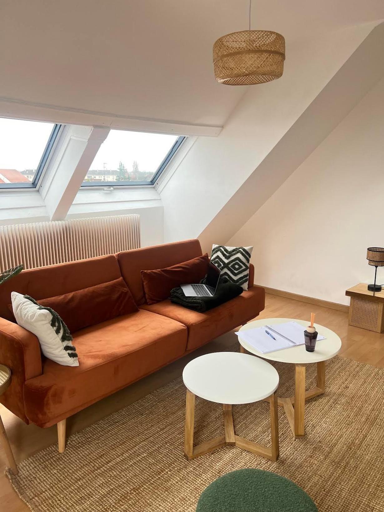 Balneo, Lumineux, Confort Colmar Exterior photo