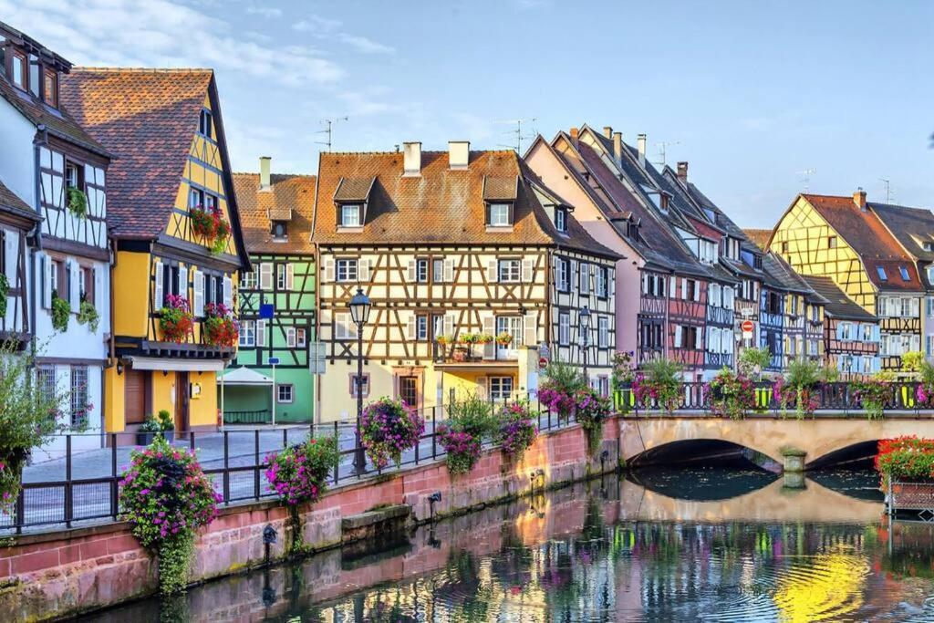 Balneo, Lumineux, Confort Colmar Exterior photo